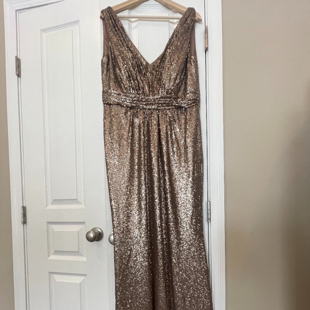 NWT Revelry Bijou Sequin Dress Matte Champagne